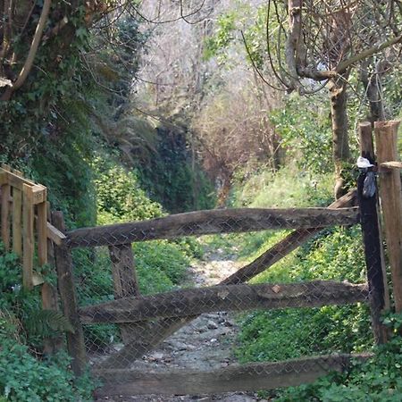 Gestiona2R - La Casina De Cirienu, Ideal Para Desconectar Pen Bagian luar foto